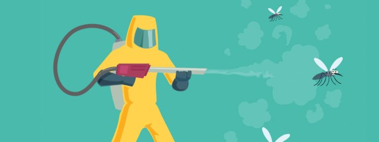 What is Pest Control? (5 Types Explained)