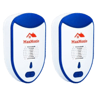 maxmoxie-thumb-removebg-preview