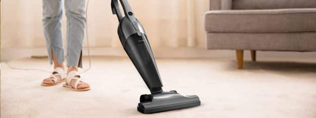 What’s the Best Vacuum Cleaner for Bed Bugs? Reviews & Buying Guide